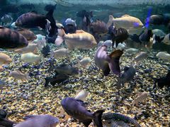 -成都浩海立方海洋公园