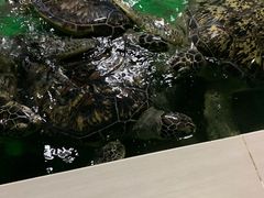 -常州海昌海洋探索馆