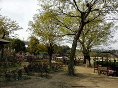 -秀丽东方