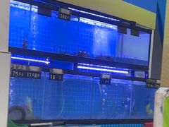 -冯姐生蚝(长隆横琴店)