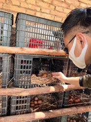 -上美四季动物农场