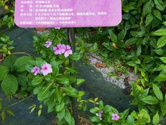 -广东中医药博物馆