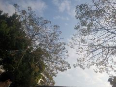 -揭阳学宫(榕城区)