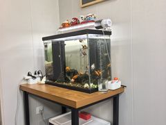 -会麦二手奢侈品包包手表回收寄卖(八佰伴店)