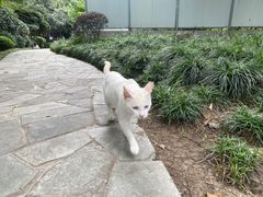 -静安公园(静安寺街道)
