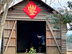 -茅山东方盐湖城景区