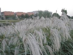 嘉定-同济大学(嘉定校区)