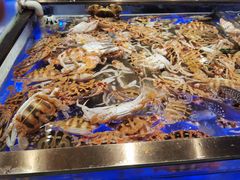 -诱货海鲜自助火锅(爱琴海购物公园东百店)