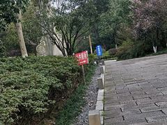 -杭州半山国家森林公园