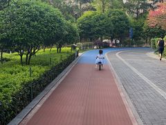 -龙头寺公园
