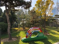-迎泽公园