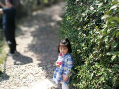 -上海佘山国家森林公园西佘山园