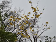 -金山公园
