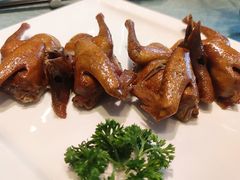 沙田乳鸽-宝燕壹号(徐汇店)