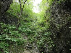 -塔云山