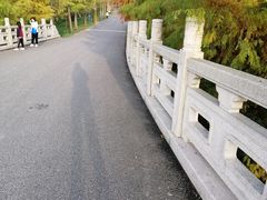 -广富林郊野公园