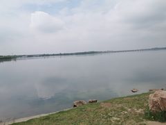 -丁香湖公园