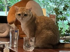 -咖法森林·咖啡  酒吧(天河店)