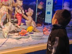 -成都泰迪熊博物馆