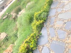 -青岛银沙滩