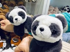 -石排湾郊野公园