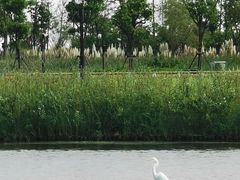 -春花秋色城市公园