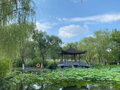 -武汉园博园(武汉自然博物馆)