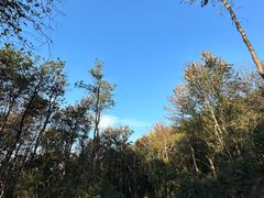 -青龙山国家森林公园