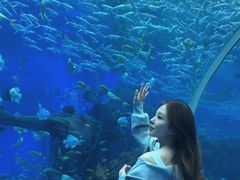 -波塞冬旅游度假区