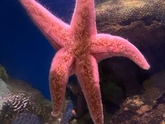 -香港海洋公园