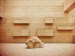 -盘龙城国家考古遗址公园