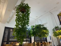 -岳姥姥饺子(泺文路店)