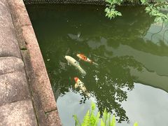 -上海虹桥宾馆味翠餐厅