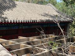 -大觉寺-停车场