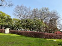 -映月湖中央公园