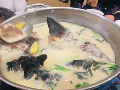 -饭怕鱼(阳光100店)