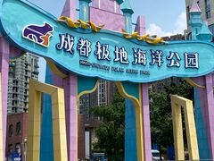 -海合安成都极地海洋公园