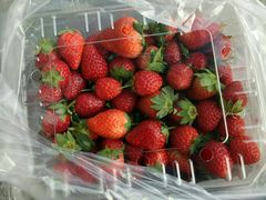 -松山湖梦幻百花洲