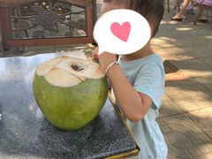 -万绿园