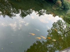 -白马涧龙池景区