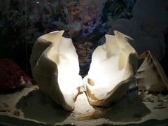 -北海金海湾红树林生态旅游区