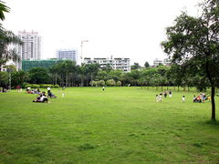 -东风公园