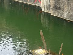 -千岛湖东南湖区