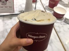 -哈根达斯(武汉天地店)