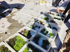 -华声天桥民俗文化园