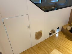 -啵啵喵·猫咖(攀华国际店)