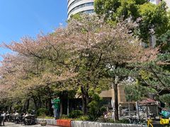 -万寿斋(山阴路店)