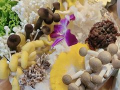 -塔兰齐新疆孜然火锅(鲤鱼山路店)