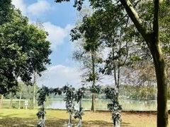 -南宁良凤江国家森林公园