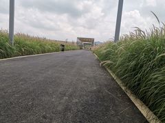 -光明小镇欢乐田园